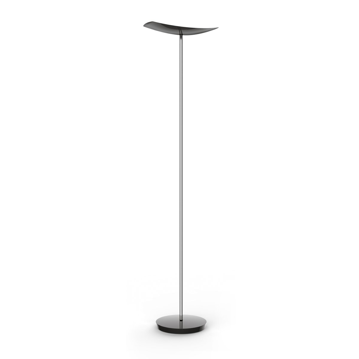 20LEDCUP - immagine 2